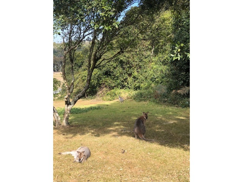 Lot 1-2 Bunya Mountains Road, Bunya Mountains QLD 4405