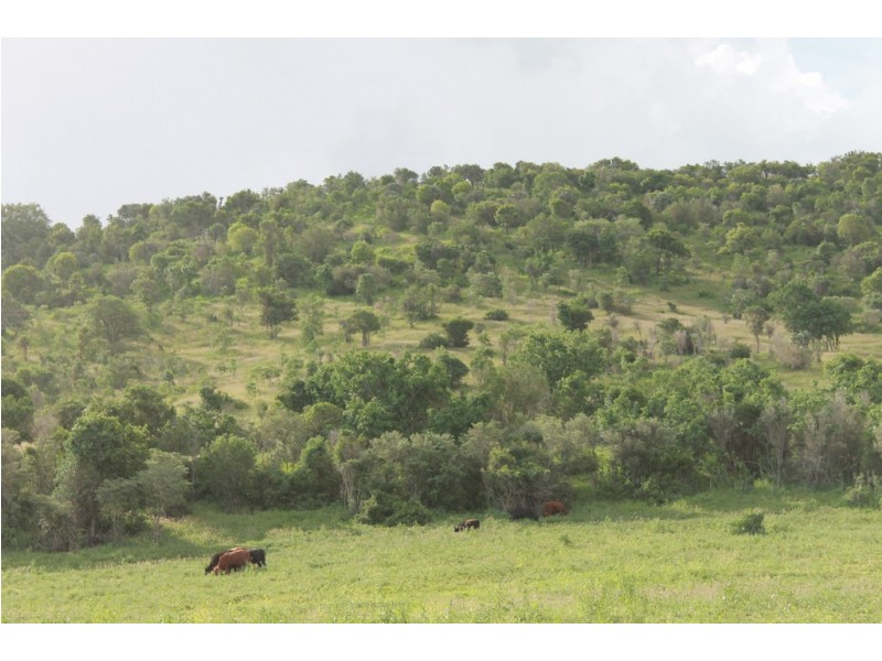 591 Koondai I Road, Bunya Mountains QLD 4405