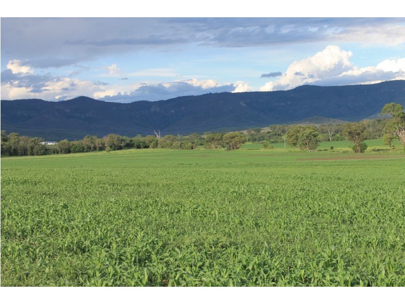 591 Koondai I Road, Bunya Mountains QLD 4405