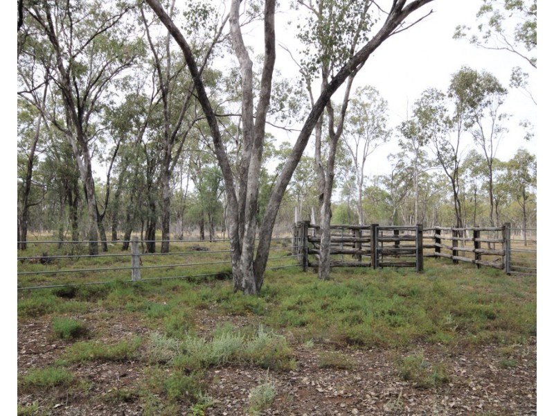 168 Springfield Drive, Dalby QLD 4405