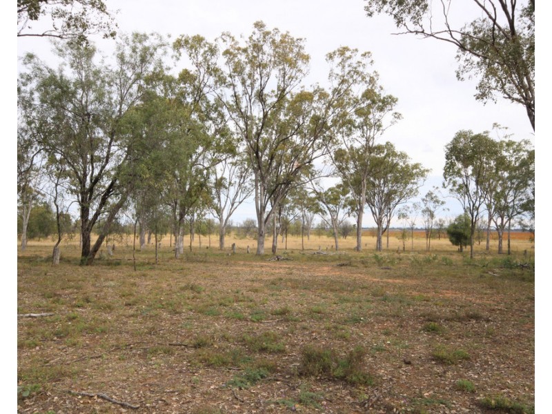 168 Springfield Drive, Dalby QLD 4405