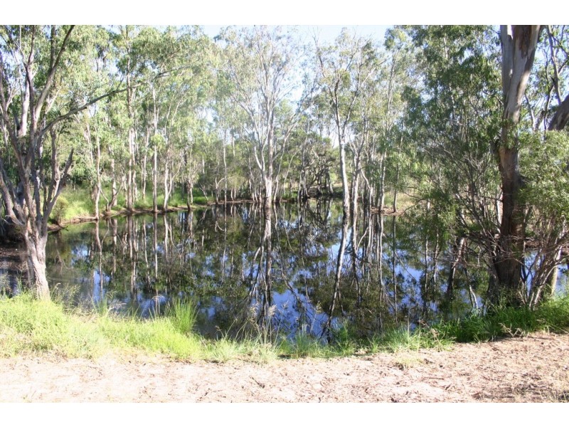 Darr Creek QLD 4410