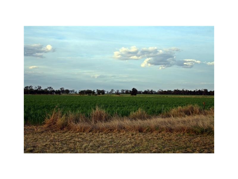 Dalby QLD 4405