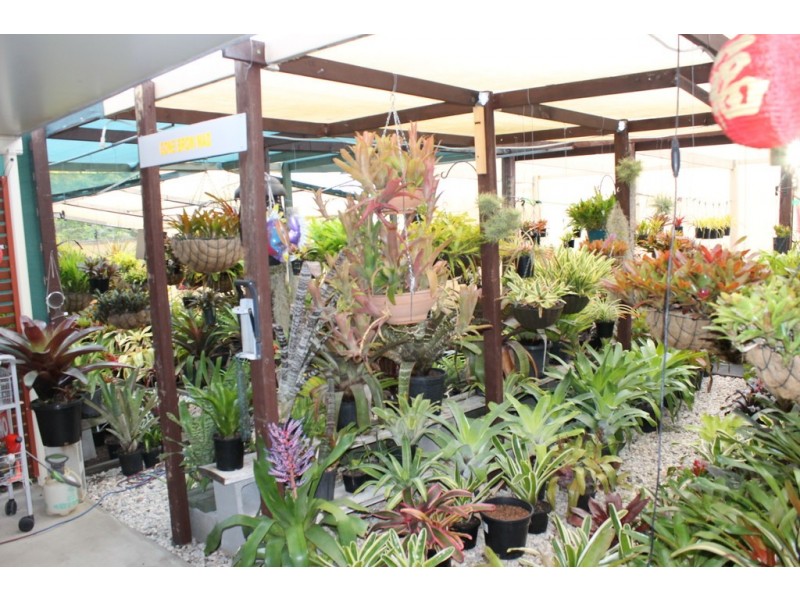 45 Eagle Street, Dalby QLD 4405