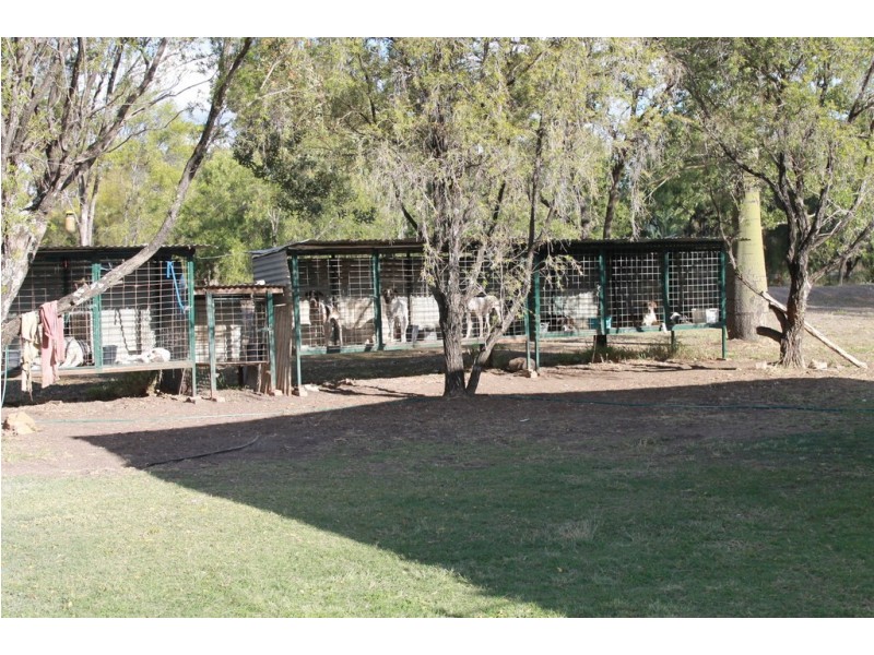 1233 DULEEN DAANDINE ROAD, Dalby QLD 4405