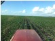 . EVANSLEA ROAD, Dalby QLD 4405