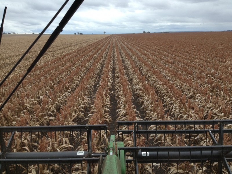 . EVANSLEA ROAD, Dalby QLD 4405