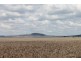 . EVANSLEA ROAD, Dalby QLD 4405