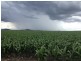 . EVANSLEA ROAD, Dalby QLD 4405