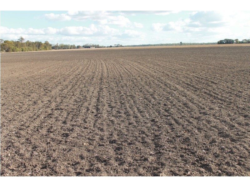 1233 Duleen-Daandine Road, Dalby QLD 4405