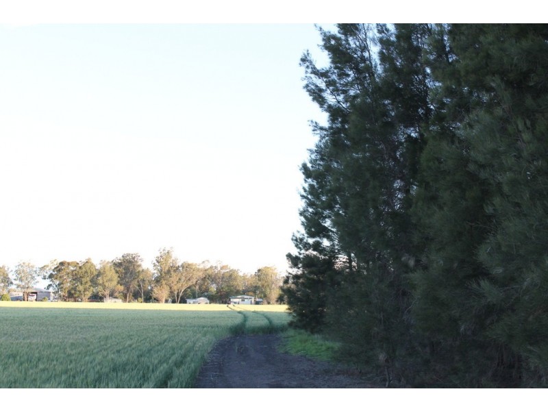1233 Duleen-Daandine Road, Dalby QLD 4405