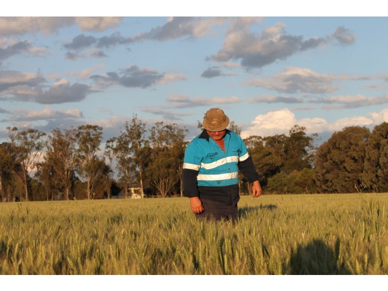 1233 Duleen-Daandine Road, Dalby QLD 4405