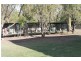 1233 Duleen-Daandine Road, Dalby QLD 4405