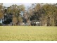 1233 Duleen-Daandine Road, Dalby QLD 4405