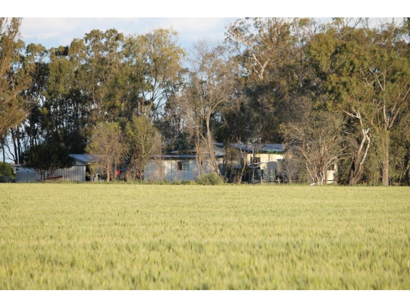 1233 Duleen-Daandine Road, Dalby QLD 4405