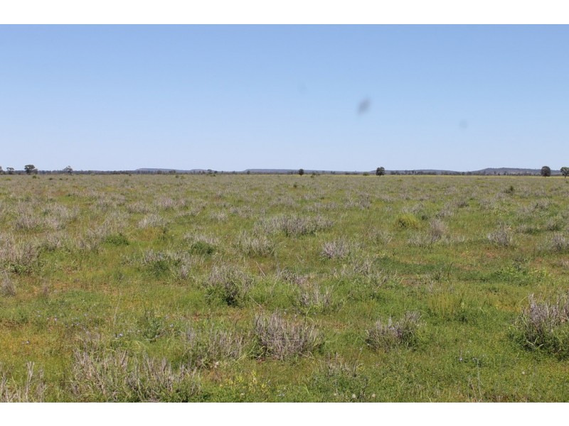 0 LAPGATE ROAD, Westmar QLD 4422