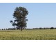 0 LAPGATE ROAD, Westmar QLD 4422