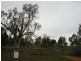 Dalby QLD 4405