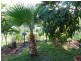53 Cassidy St, Bell QLD 4408
