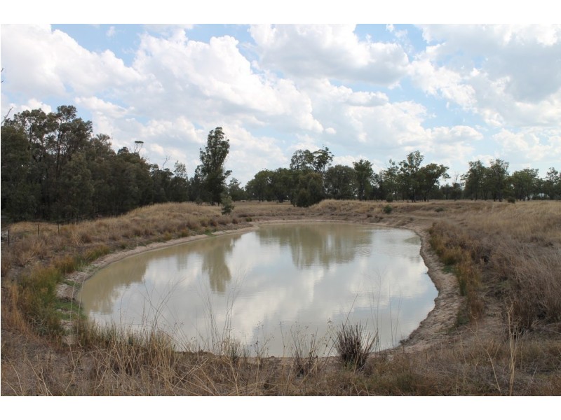 794 Broadwater Road, Dalby QLD 4405