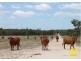 0 BEELBEE RD, Dalby QLD 4405
