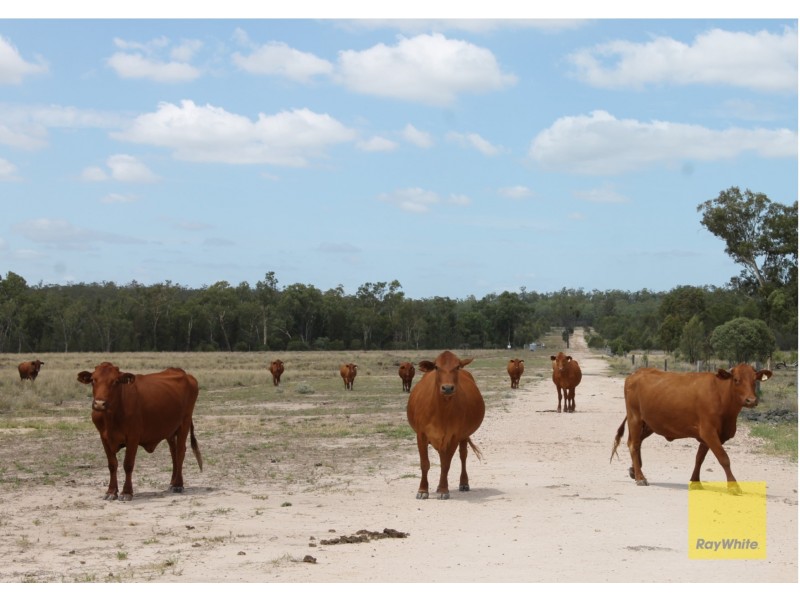 0 BEELBEE RD, Dalby QLD 4405