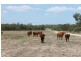 0 BEELBEE RD, Dalby QLD 4405