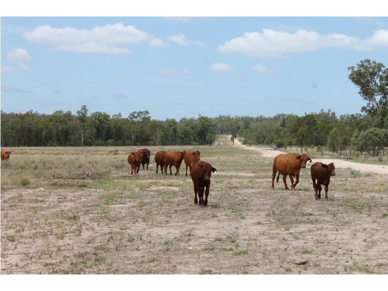 0 BEELBEE RD, Dalby QLD 4405