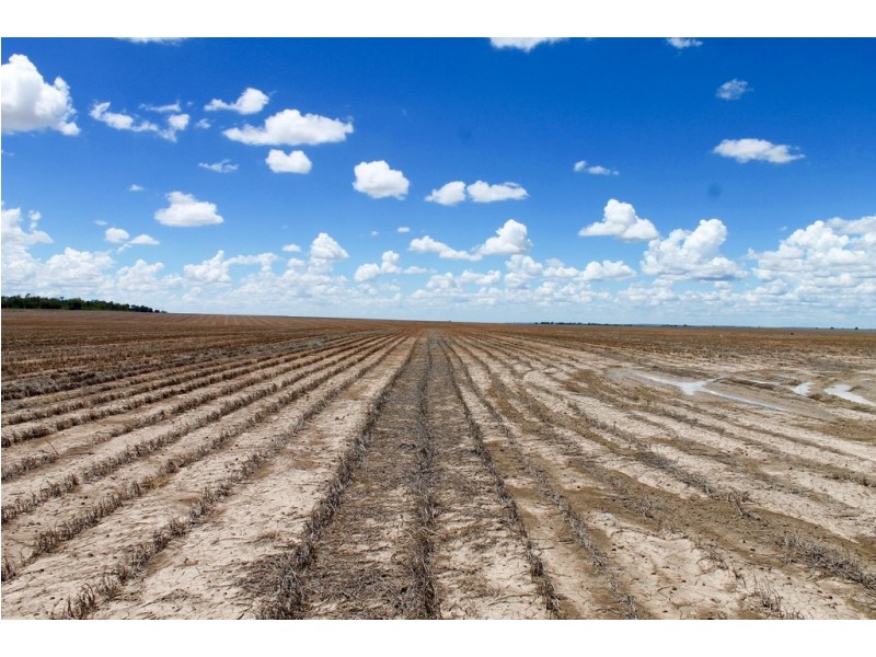 2011 BUTLERS ROAD, Drillham QLD 4424