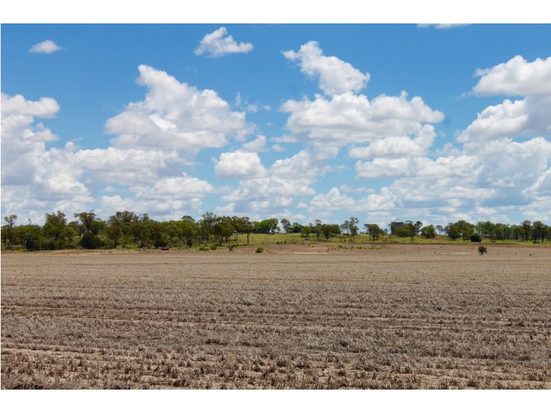 2011 BUTLERS ROAD, Drillham QLD 4424