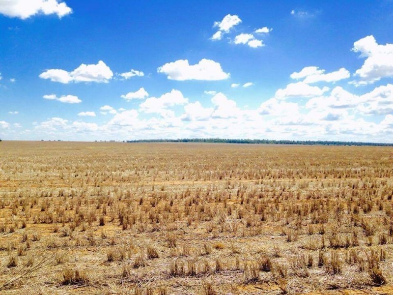 2011 BUTLERS ROAD, Drillham QLD 4424