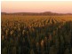0 BACONS ROAD, Oakey QLD 4401