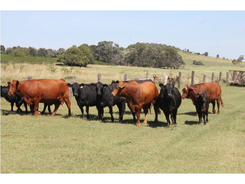 Maclagan QLD 4352