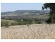 Maclagan QLD 4352