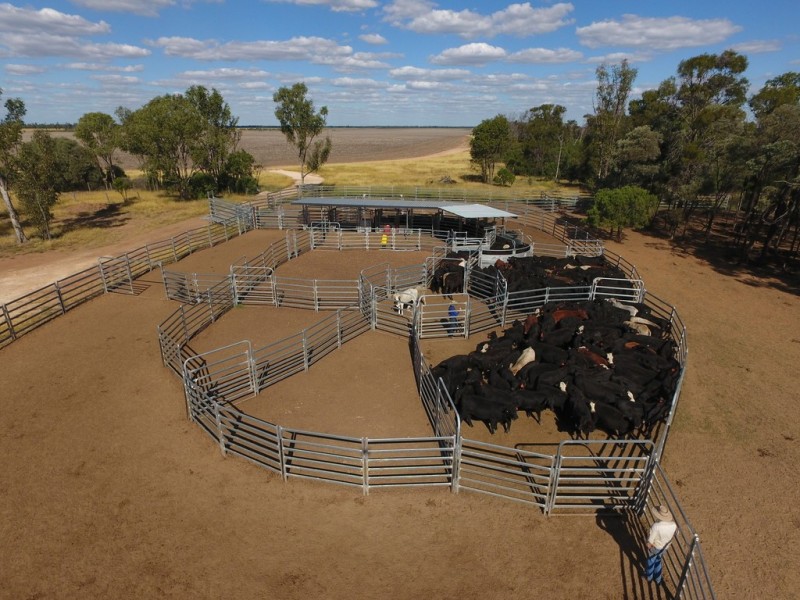 0 Roma-Condamine Road, Condamine QLD 4416