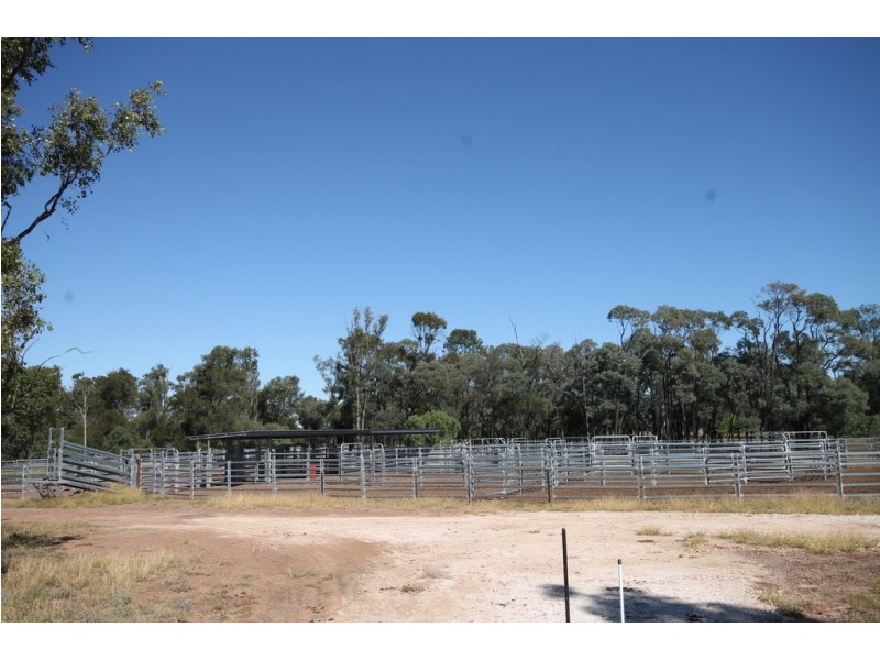 0 Roma-Condamine Road, Condamine QLD 4416