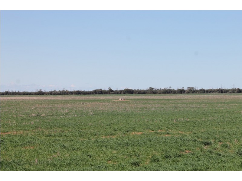 0 Roma-Condamine Road, Condamine QLD 4416