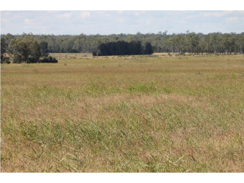0 Roma-Condamine Road, Condamine QLD 4416
