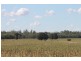 0 Roma-Condamine Road, Condamine QLD 4416