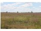 0 Roma-Condamine Road, Condamine QLD 4416