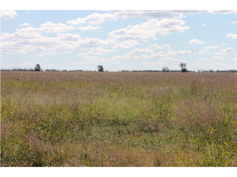 0 Roma-Condamine Road, Condamine QLD 4416