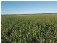 1553 Humbug Road, The Gums QLD 4406