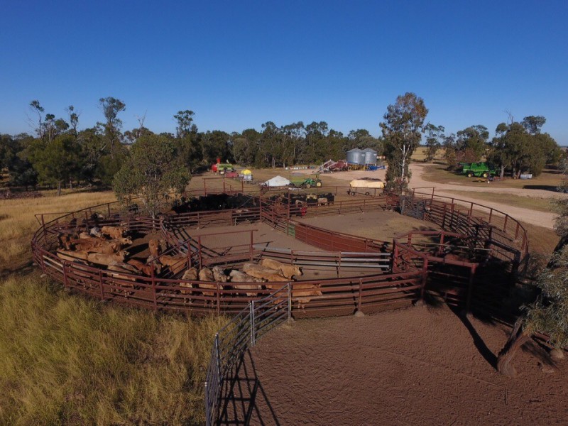 1553 Humbug Road, The Gums QLD 4406
