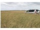 1553 Humbug Road, The Gums QLD 4406