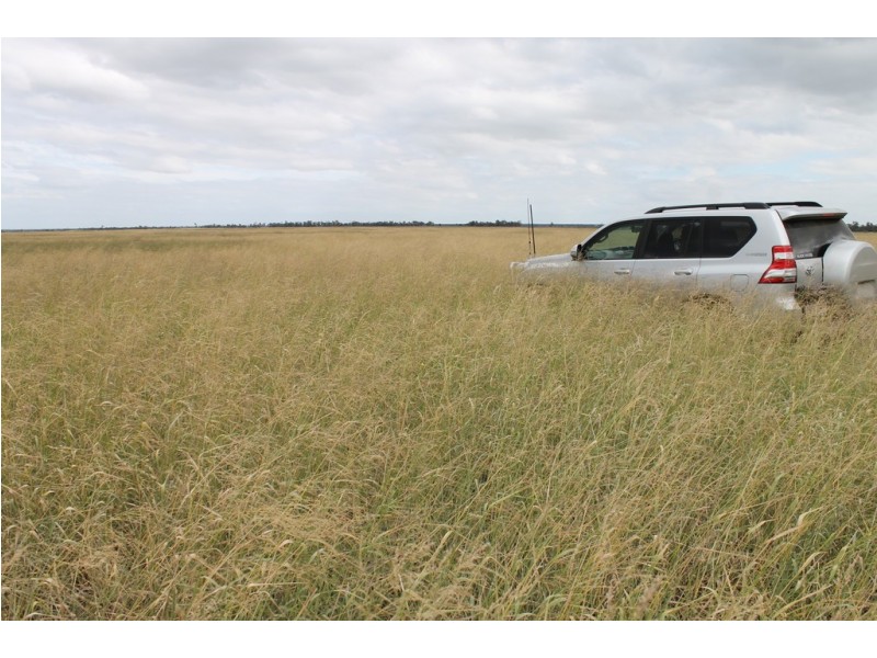 1553 Humbug Road, The Gums QLD 4406