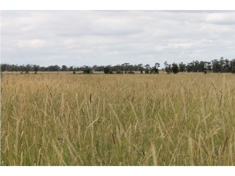 1553 Humbug Road, The Gums QLD 4406