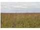 1553 Humbug Road, The Gums QLD 4406
