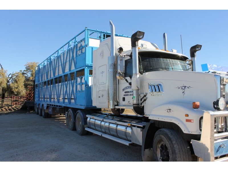 1533 Humbug Road, The Gums QLD 4406