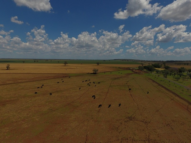 1251 Bunya Highway, Dalby QLD 4405