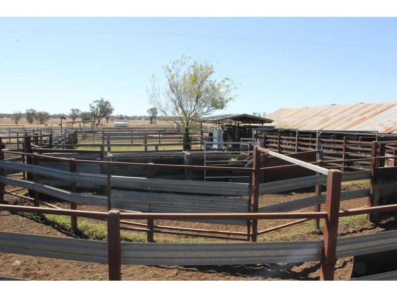 1251 Bunya Highway, Dalby QLD 4405